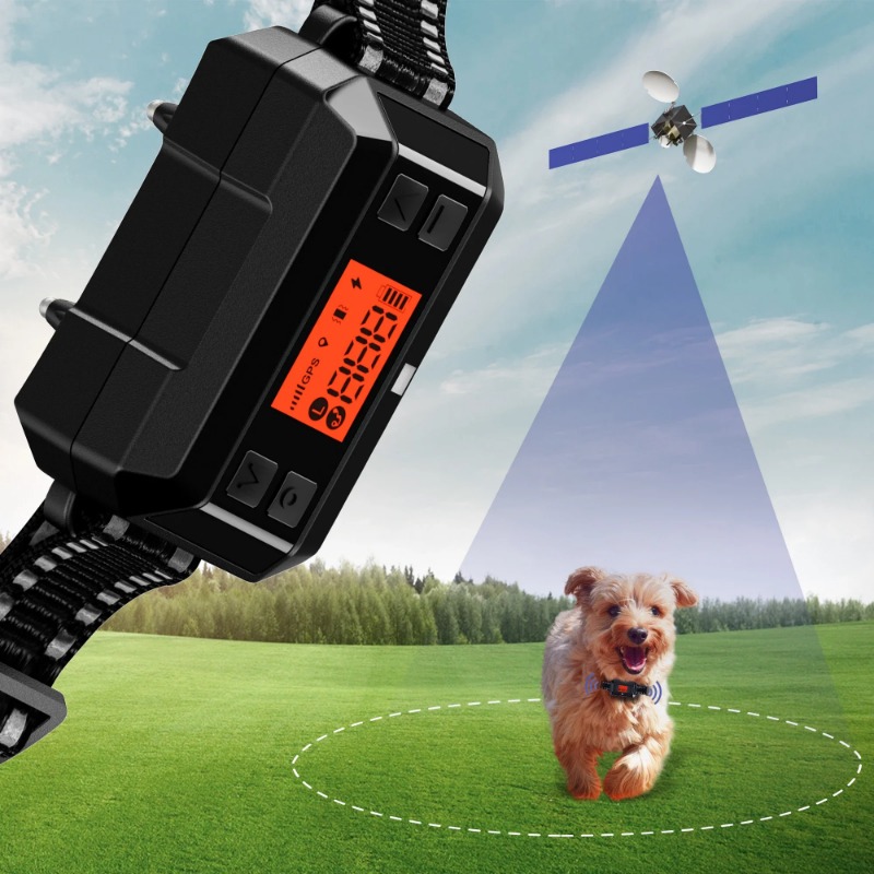 2025 Chip GPS Pet Electric Dog - Outdoor Furniture Plus recension och pris