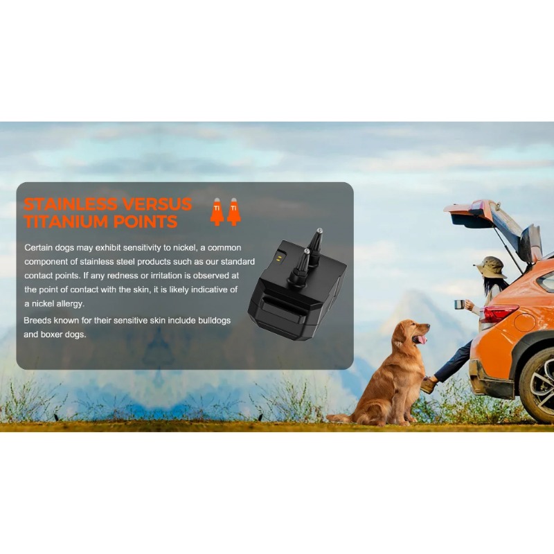 2025 Chip GPS Pet Electric Dog - Outdoor Furniture Plus recension och pris